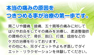 本当の痛みの原因をつきつめる事が治療の第一歩です。肩こりや腰痛、膝痛、五十肩等の痛みに対してはりやお灸をしてその痛みを治療し、柔道整復師の資格の元で、骨折、脱臼、打撲、捻挫などのケガの治療を行っております。その他にも、耳ダイエットやよもぎ蒸しでダイエット・リラクゼーションを体験してください。 